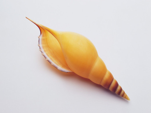 399244 (a): :1600x1200